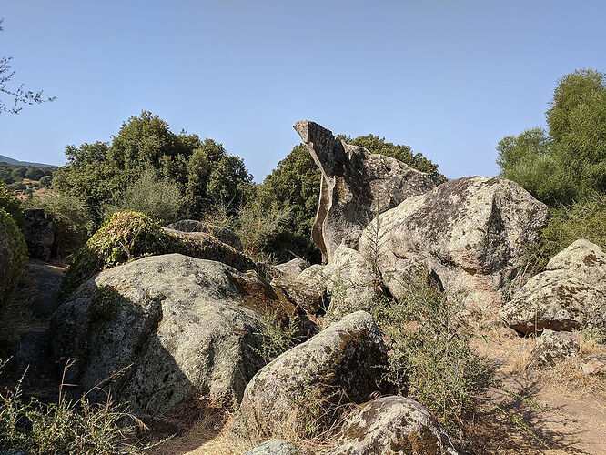 Re: 3 semaines de rêve en Corse - Fecampois