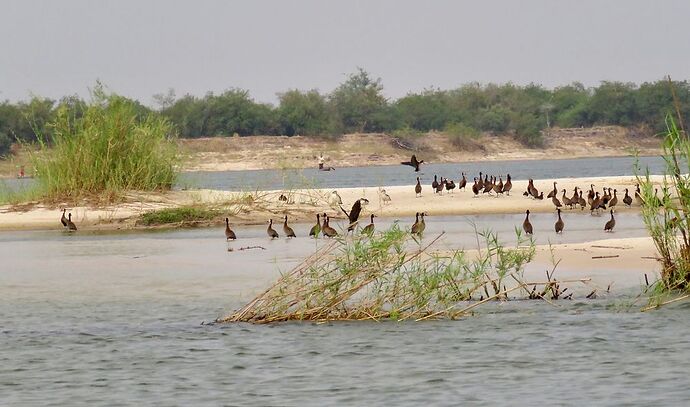 Re: NAMBOTSVIC Namibie- Botswana- Victoria Falls, 3 semaines magiques - PATOUTAILLE