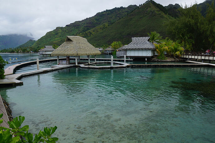 Retour sur découverte de Moorea 1 - cartesien