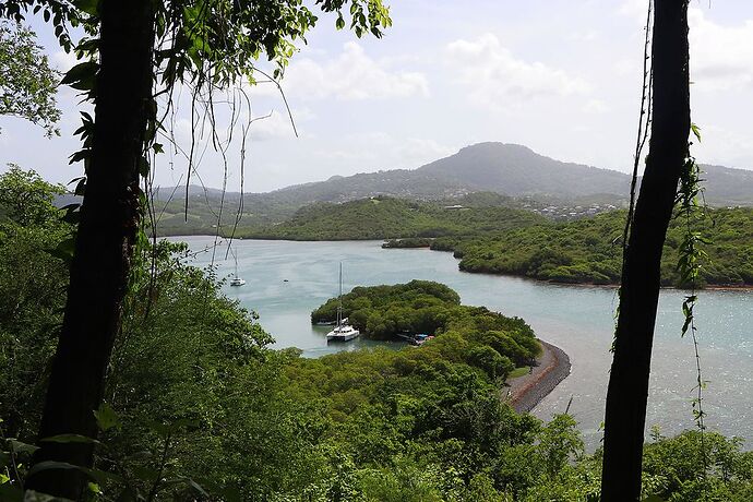 Idées randonnées en Martinique : 9 incontournables !  - Kikisbackpackingtour