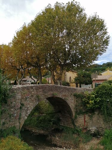 Re: Trois semaines dans le Var... - trostang