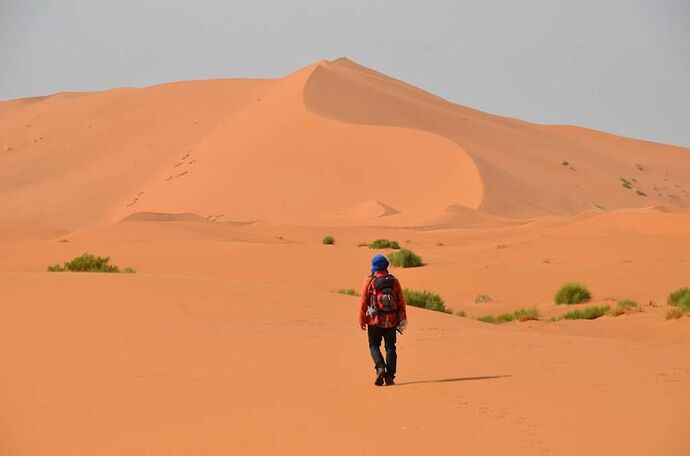 Re: Recherche marche facile facile dans le désert jan-février 2017 - Le Belu