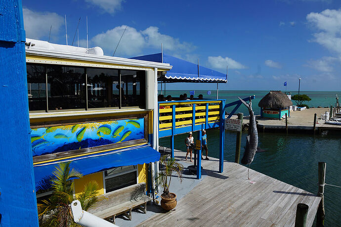 Découverte de le FLORIDE - Les KEYS & Les EVERGLADES - cartesien