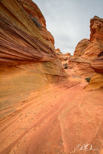 South Coyote Buttes - darth