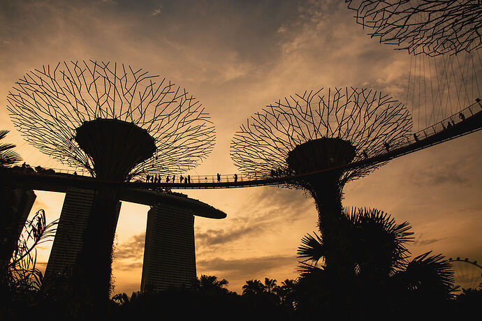 Un week end à Singapour - Frank Ryckewaert