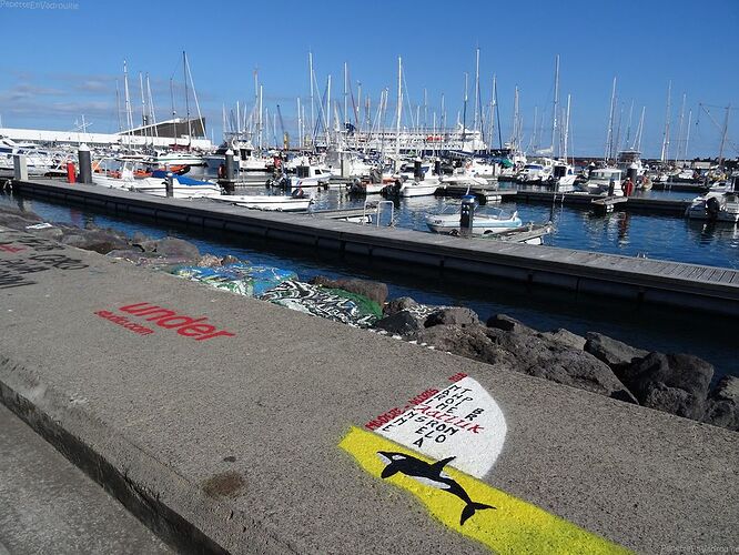 2 semaines sur Sao Miguel sans s'ennuyer! - PepetteEnVadrouille