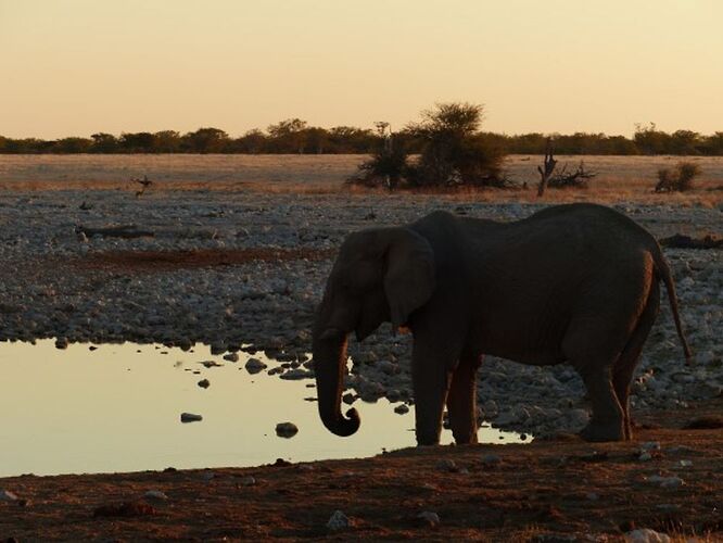 Re: 3 fabuleuses semaines Namibiennes- juillet 2021 - Patbillvoyage