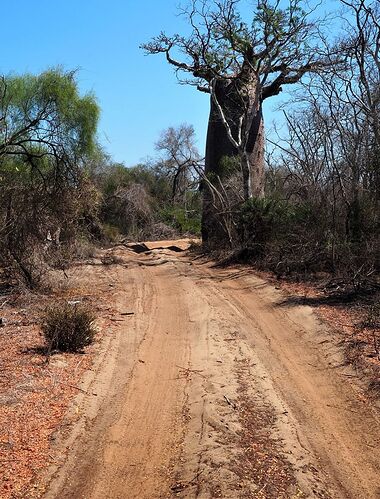 4 semai,es en 4x4 à Madagascar - PIHIEN