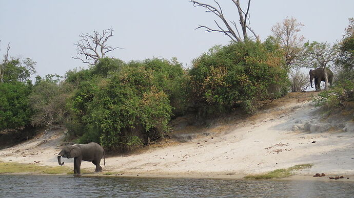 Re: NAMBOTSVIC Namibie- Botswana- Victoria Falls, 3 semaines magiques - PATOUTAILLE