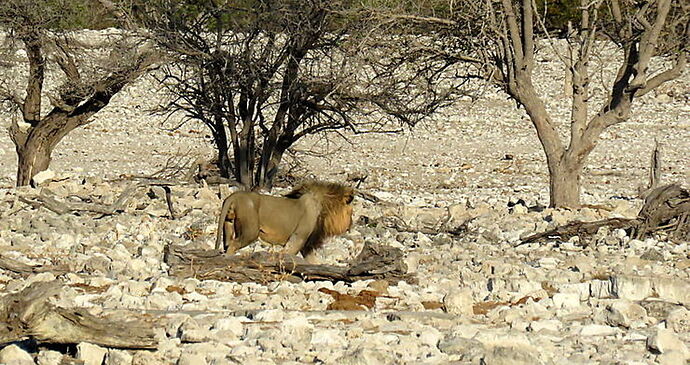 Re: Où dort-on avec son 4x4 en Namibie ? - PATOUTAILLE