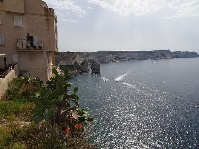 Re: 3 semaines de rêve en Corse - Fecampois