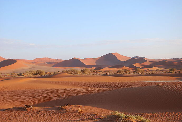 J14 - Dead vlei, Sossusvlei, Tsaris Mountains - llce