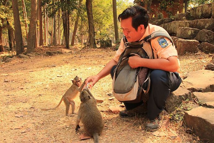 Re: Notre guide francophone pour les temples d'Angkor - Elijahz