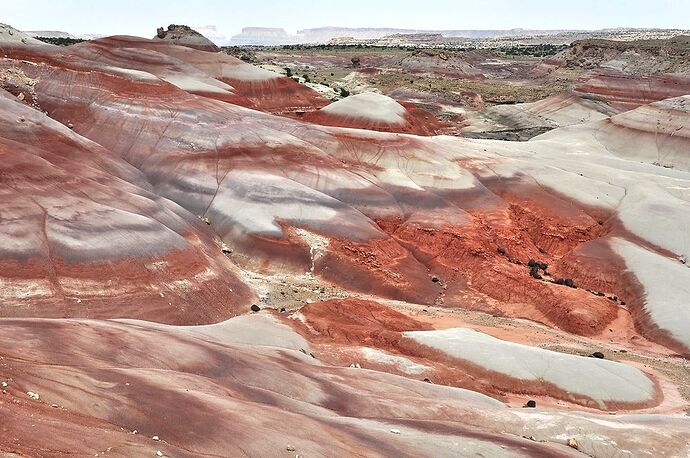 Parc national de Capitol Reef et Cathedral Valley - chellmi