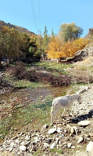 IMG_20231017_103017_2
