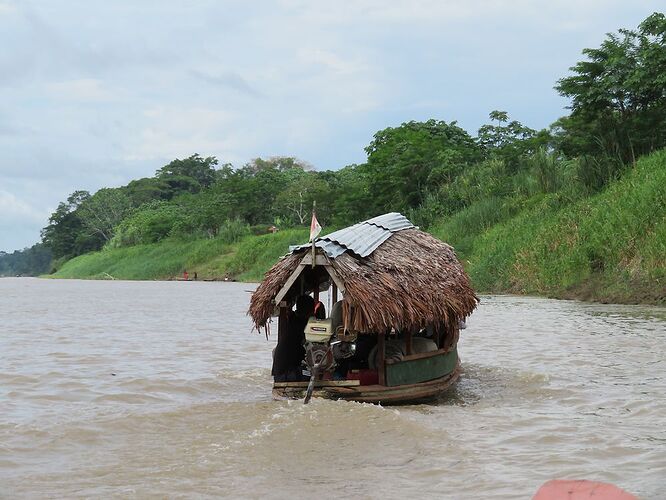 Amazonie péruvienne : 2 semaines en plongée au coeur du poumon vert - Kikisbackpackingtour