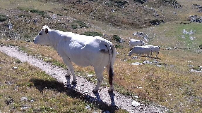 De la Vanoise à la Chartreuse - doume54