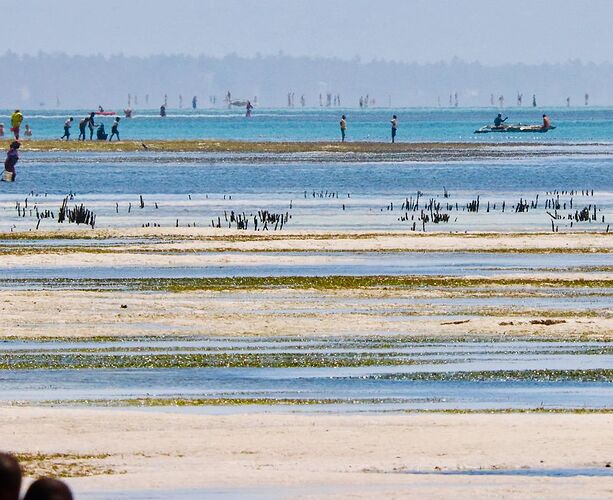 Voyage inoubliable en Tanzanie - CORADOM