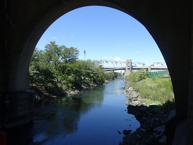 Randall Island : la surprise ! - sourisgrise