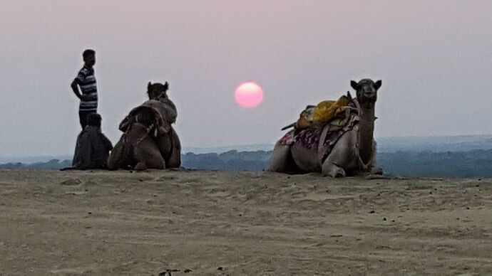 Voyage au Rajasthan - Romain3