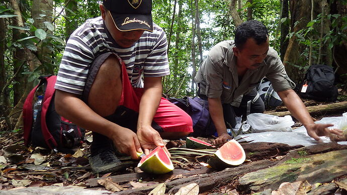 retour trekking Bukit Lawang - chgut