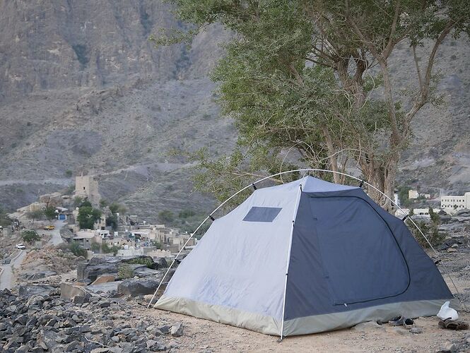 Re: De retour de deux semaines à Oman avec 3 jeunes enfants en camping sauvage - jmayo