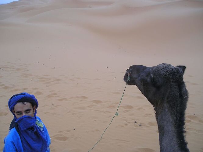 Re: Au retour de notre voyage en famille dans le sud du Maroc  - Kelyah