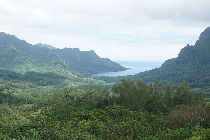 Retour sur découverte de Moorea 1 - cartesien