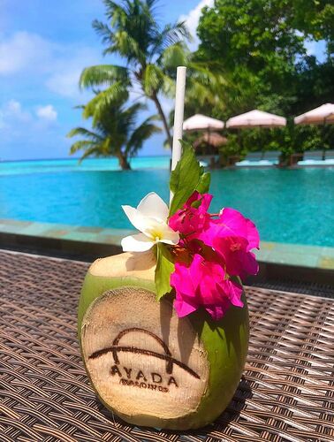 Séjour aux Maldives ! - Philomaldives Ex guide Safaris Séjour aux Maldives ! - Philomaldives Ex guide Safaris