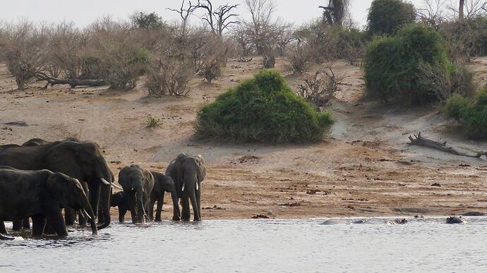 Re: NAMBOTSVIC Namibie- Botswana- Victoria Falls, 3 semaines magiques - PATOUTAILLE