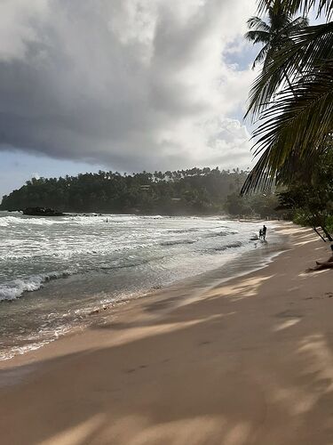 Voyage réussi au Sri Lanka avec l'agence voyaGees - Alexren