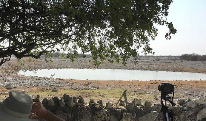 Re: NAMBOTSVIC Namibie- Botswana- Victoria Falls, 3 semaines magiques - PATOUTAILLE