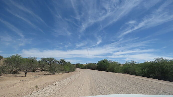 Retour en Namibie. - PATOUTAILLE