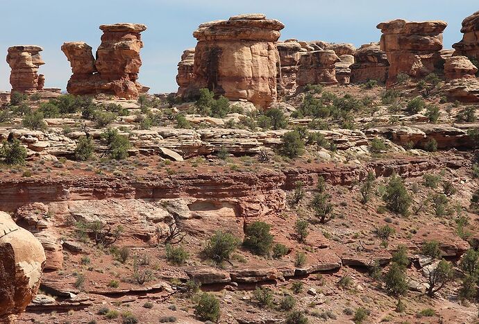 Moab  Canyonlands partie sud  Monticello - Hiacinthe