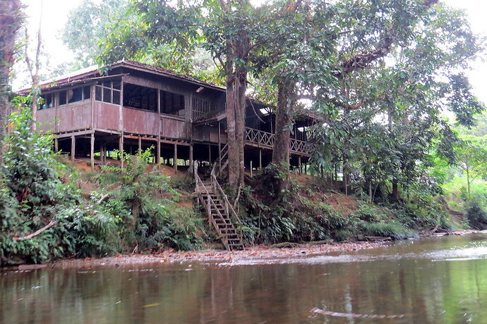 Dans la jungle en amont de Batang Aï - PATOUTAILLE