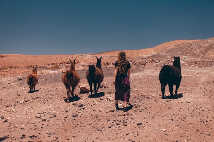 A la découverte du désert d’Atacama - @levoyagedaudrey