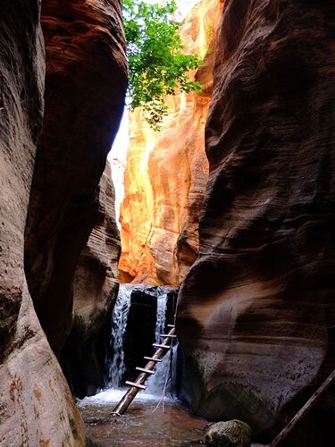 Extraordianire Kanara Falls - rafa