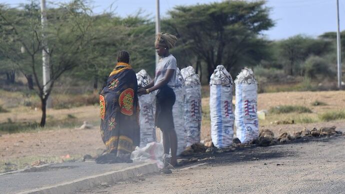 Re: Au coeur du Kenya ; le Kenya dans le coeur - Jmarc71