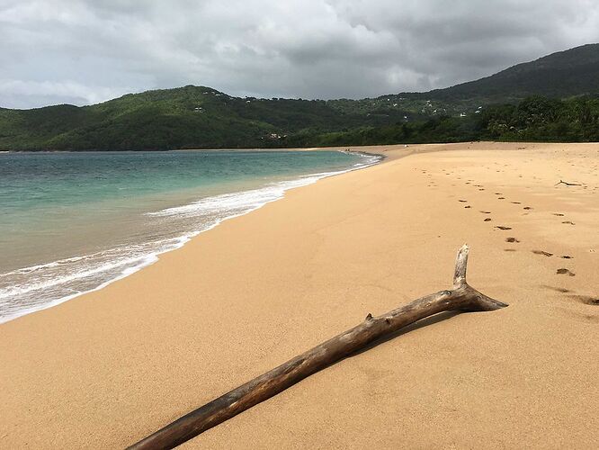 Séjour en Guadeloupe - P-tit-Canard