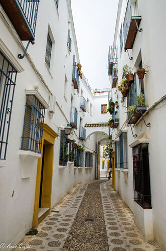 BIENVENUE EN ANDALOUSIE, RÉGION OÙ L’ART ESPAGNOL ET ARABE S’ENTREMÊLE POUR UNE HARMONIE PARFAITE - anaisgaujat BIENVENUE EN ANDALOUSIE, RÉGION OÙ L’ART ESPAGNOL ET ARABE S’ENTREMÊLE POUR UNE HARMONIE PARFAITE - anaisgaujat