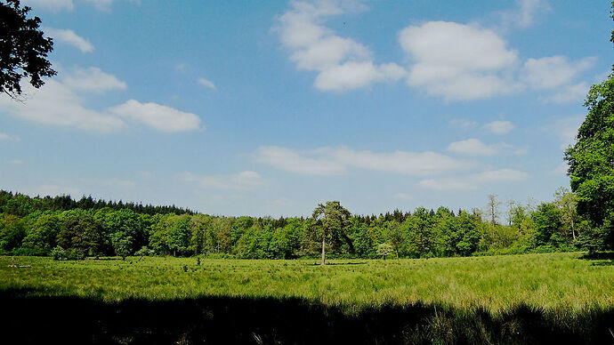 photos randonnées en Ardennes belges - nicolasDB