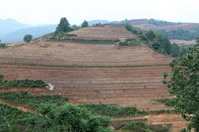 Re: sapa ou mu cang chai? - Abalone_vn