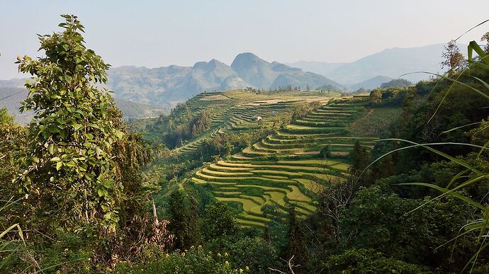 Vietnam et Cambodge en un mot « Excellent » - Bruno-Hoeltzel