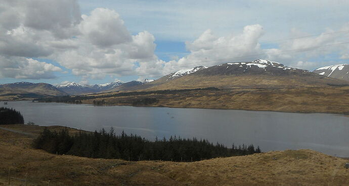 Près de Bridge of Orchy - calamity jane