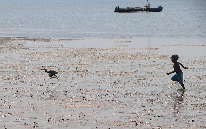 Re: Côte ouest de Tuléar à Morondava - worlder56