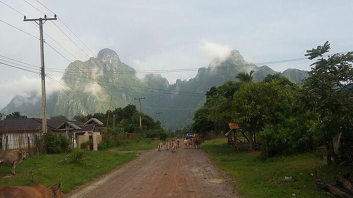 Re: Guesthouse en solo au Laos - breizh da viken