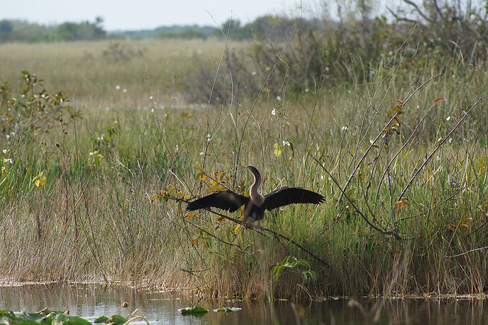 Découverte de le FLORIDE - Les KEYS & Les EVERGLADES - cartesien