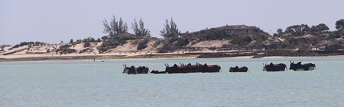 Re: Côte ouest de Tuléar à Morondava - worlder56