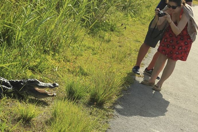 Road trip Floridien en famille - bedal