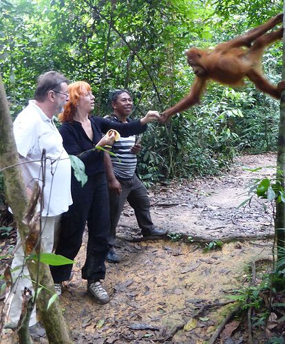 17 jours à Sumatra avec guide chauffeur francophone - ClaudeAuvray